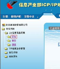 中華人民共和國電信與信息服務業務經營許可證 信息服務業務的基石與規范