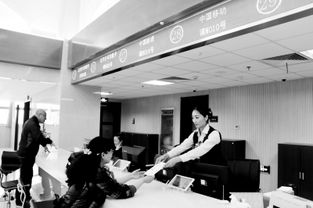 寧夏移動信息服務業務進駐市民大廳，開啟便民服務新篇章